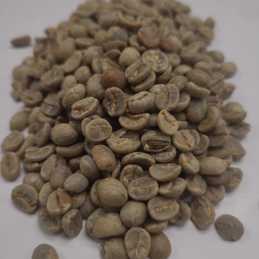 Brazil - Lussara - Red Icatu & Red Catuai Carbonic Maceration - Specialty Green Coffee Beans
