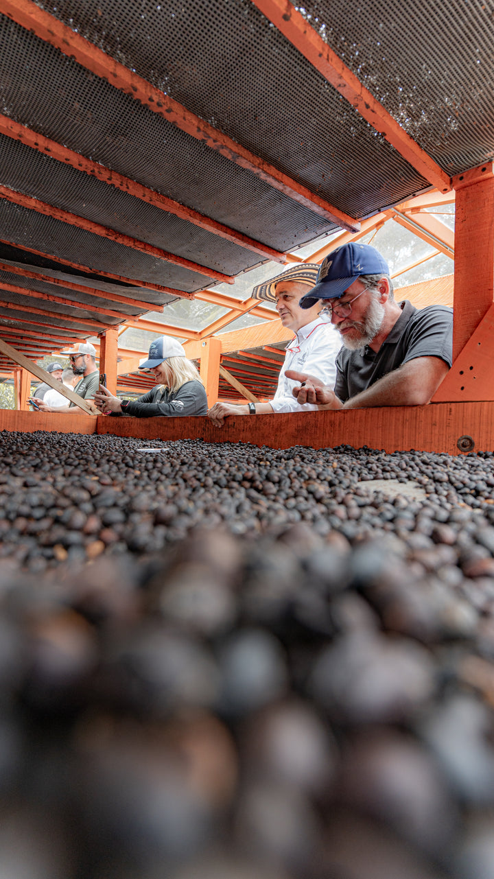 Colombia - Santa Elena - Pacamara Natural