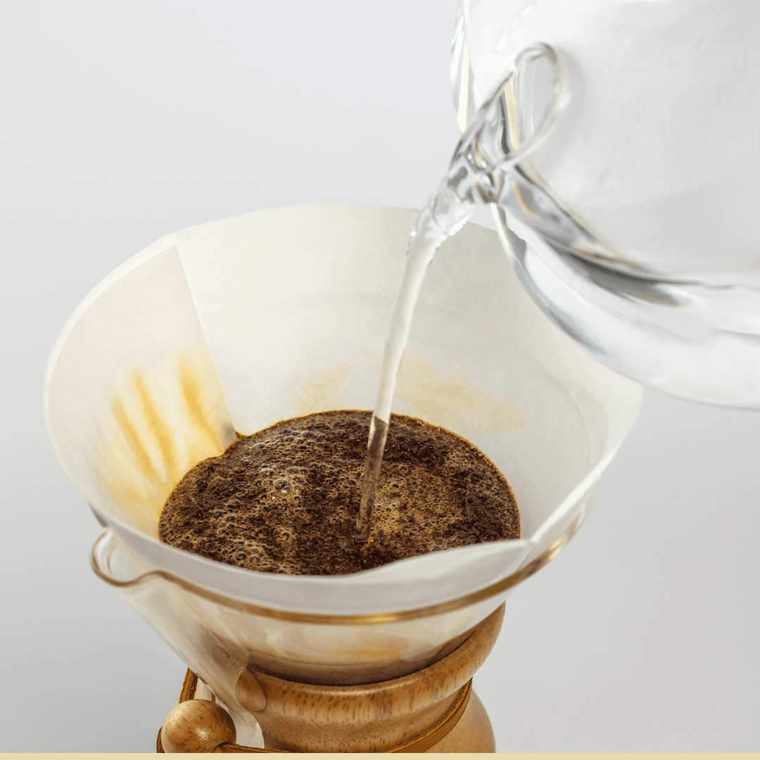 Chemex Brewer with prefolded filter and coffee
